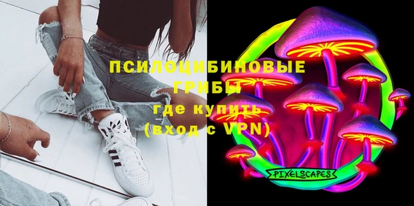 мдпв Галич